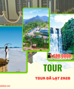 Tour Đà Lạt 2 Ngày 2 Đêm - Lịch Trình Cực Chill, Check-in Cực Đỉnh